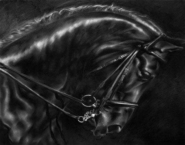 Robert Longo  Study of Stallion’s Arc, 2013  Signed and dated on the reverse  Ink and charcoal on vellum  40 x 50 cm | 15.7 x 19.9 in.  Provenance Metro Pictures Gallery, New York  Private collection, New York 