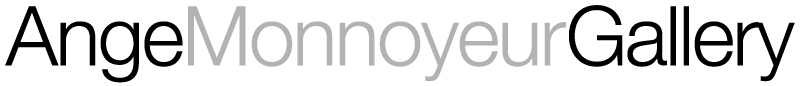 logo angemonnoyeur