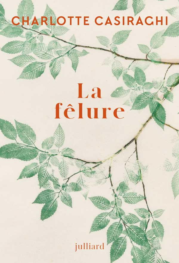 Couverture La felure